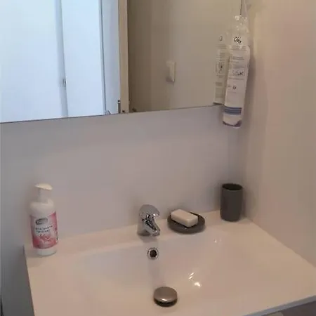 Apartament T2 Entierement Renove *
